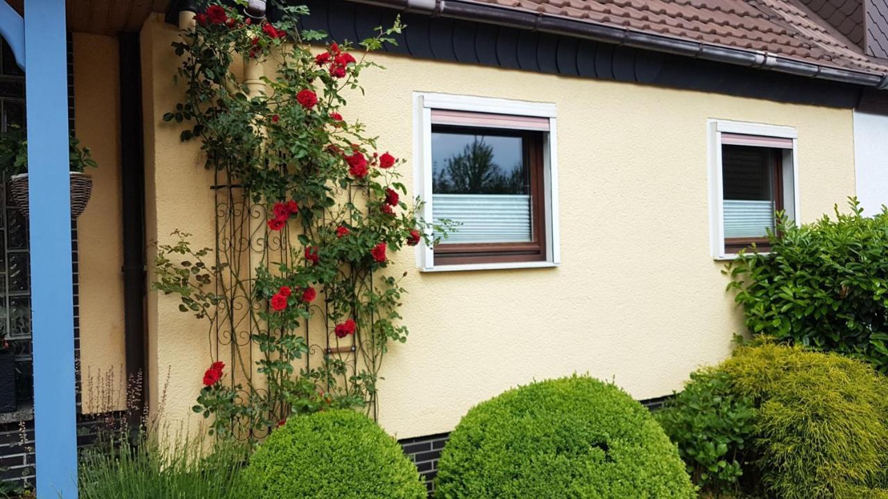 Ferienwohnung In Gartenlandschaft Kassel Dış mekan fotoğraf